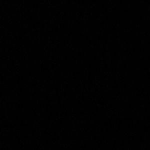 Meet your Posher, Bridget